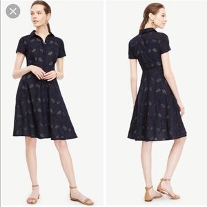 Ann Taylor Tennis Eyelet button down dress Size 6